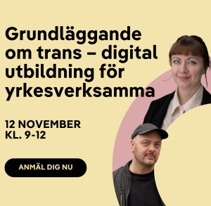halvdagsutbildning