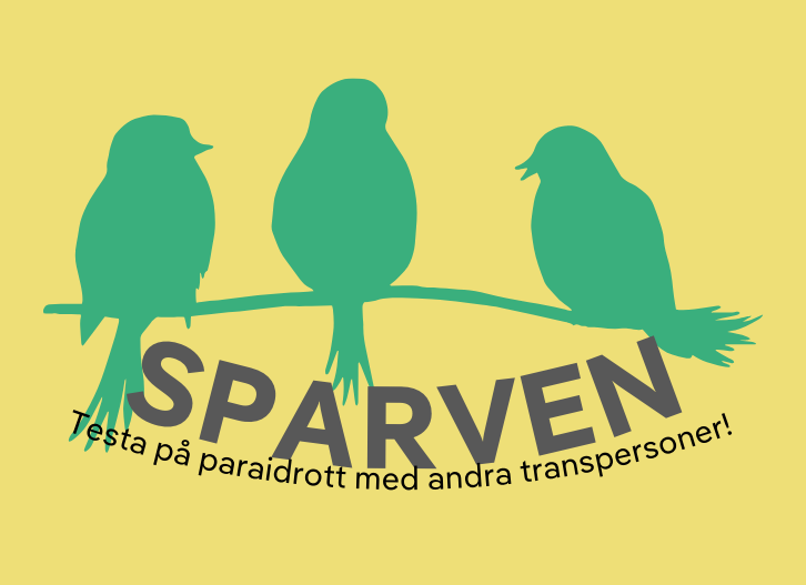 Illustration på tre ljusgröna sparvar som sitter på en gren tillsammans. Bakgrundnen är gul. Framför illustrationen är texten "Sparven, testa på paraidrott med andra transpersoner".