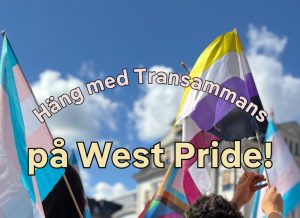 westpride_transammans